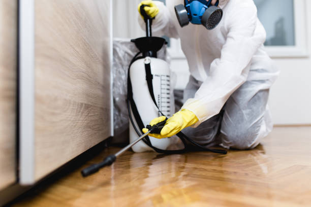 Best Mosquito Control Services  in Ben Lomond, CA