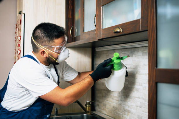 Pest Prevention Services in Ben Lomond, CA