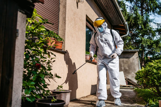 Best Flea Control Services  in Ben Lomond, CA
