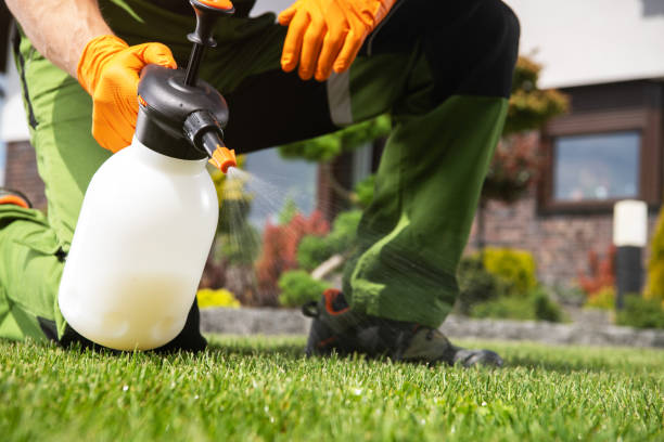 Best Affordable Pest Control Services  in Ben Lomond, CA