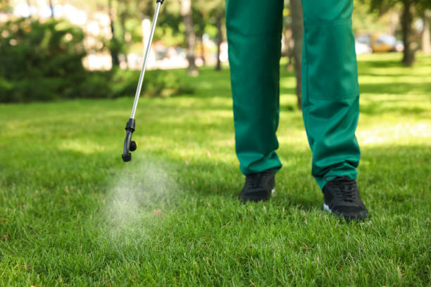 Best Termite Control Services  in Ben Lomond, CA