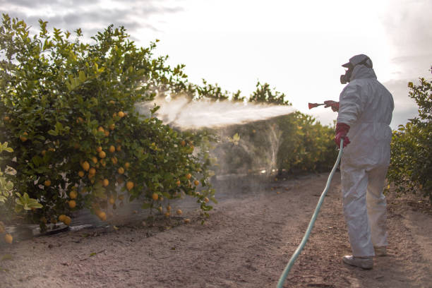 Best Residential Pest Control  in Ben Lomond, CA