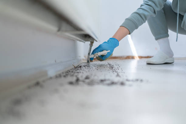 Best Best Pest Control Companies  in Ben Lomond, CA